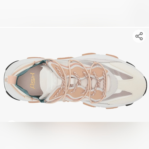 ASH Sneakers - Picture 5 of 8